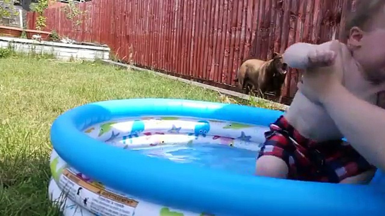 Un bébé terrifié par le bruit de trompette !! HILARANT !