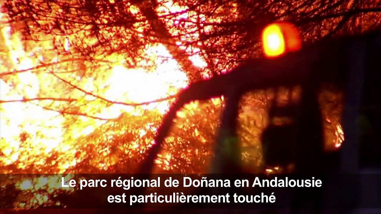 Un incendie ravage un parc naturel en Espagne