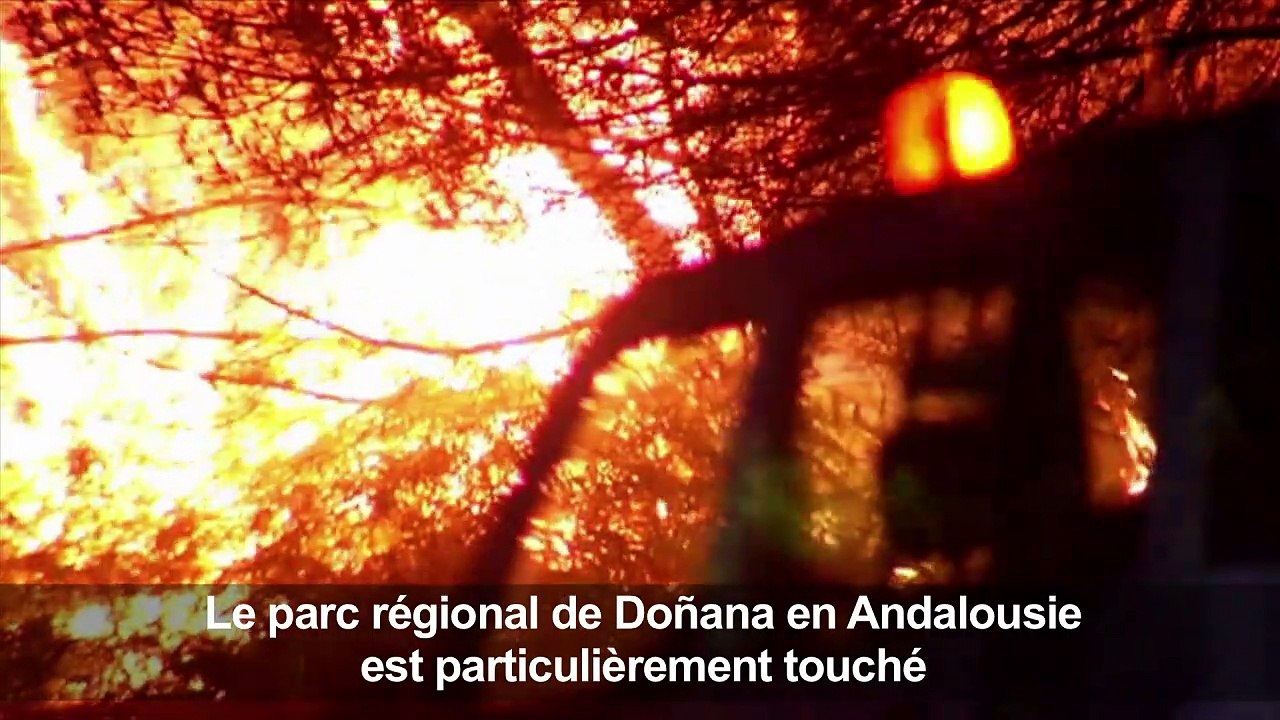 Un incendie ravage un parc naturel en Espagne