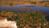 Kalahari 2 The Flooded Desert (Nature Documentary)