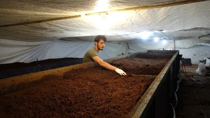 Üniversiteli Genç, Gübre Üretmek İsteyenler İçin 'Solucan Oteli' Açtı