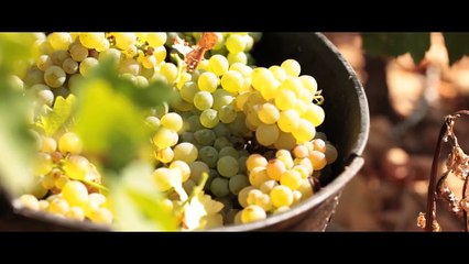 Certifie DOCa RIOJA (Riojawine.com)_sd_DOWNLOAD