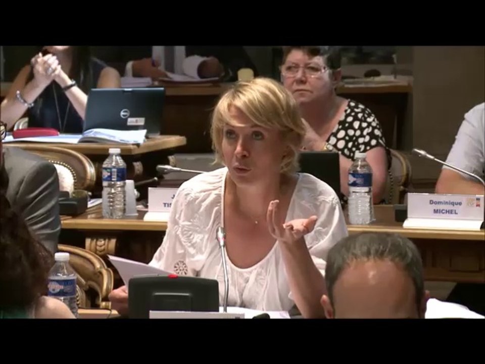 Nathalie KOENDERS. Rapport sur l'activité 2016 des services départementaux. 26 juin 2017