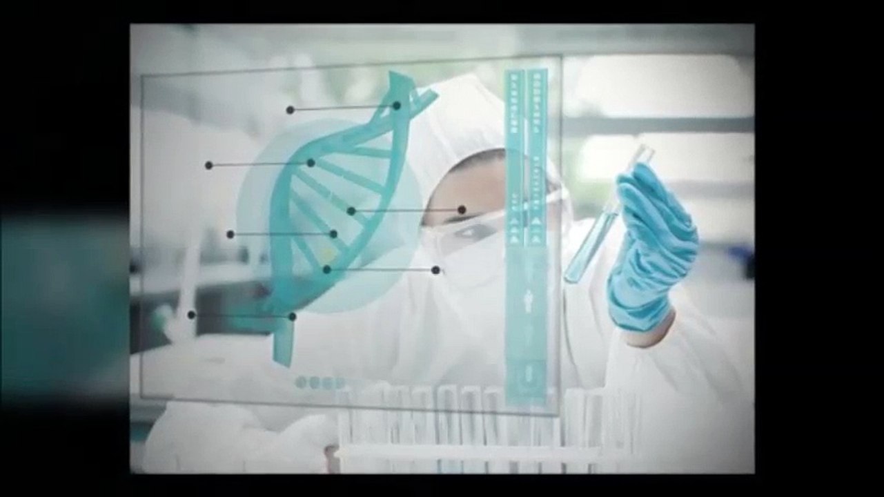 pet health dog cages