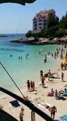 Un requin de 2,5 mètres aperçu à Majorque