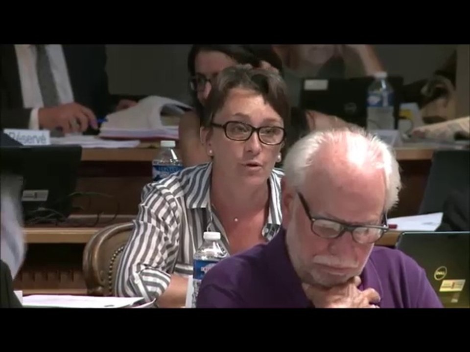 Céline TONOT. Aménagement numérique et téléphonie mobile. Session du 26 juin 2017.
