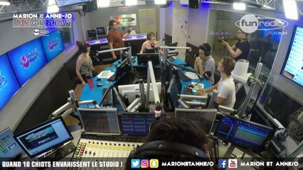 QUAND 10 CHIOTS ENVAHISSENT LE STUDIO ! - Marion et Anne-So