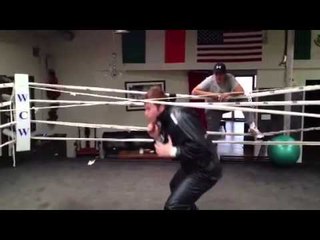 Would You lIke Canelo Alvarez vs Winner of Ishe Smith vs Lara