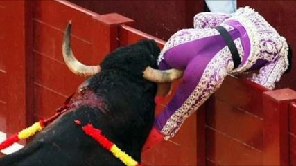 acidentes que aconteceram em touradas