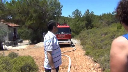 Çay Demlemek İsterken 2 Dönümlük Ormanlık Alanı Kül Ettiler