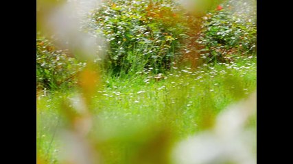 Darryl Zeuja - Juste Une Fois (Prod 8sho)