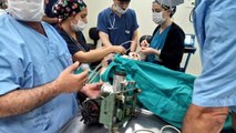 5 Yaşındaki Çocuğun Eli Kıyma Makinesine Sıkıştı, İtfaiye Ameliyata Girdi