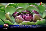Los increíbles beneficios de la alcachofa para la salud
