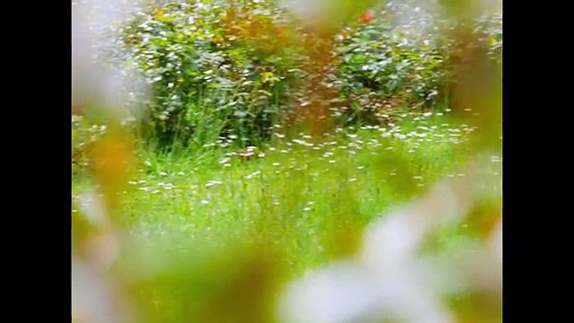 Darryl Zeuja - Juste Une Fois (Prod 8sho)