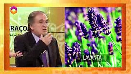 En faydalı şifalı meyveler - www.sifalibitkilerehberi.com