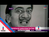 Exhumarán restos de Dalí para prueba de paternidad | Noticias con Yuriria Sierra