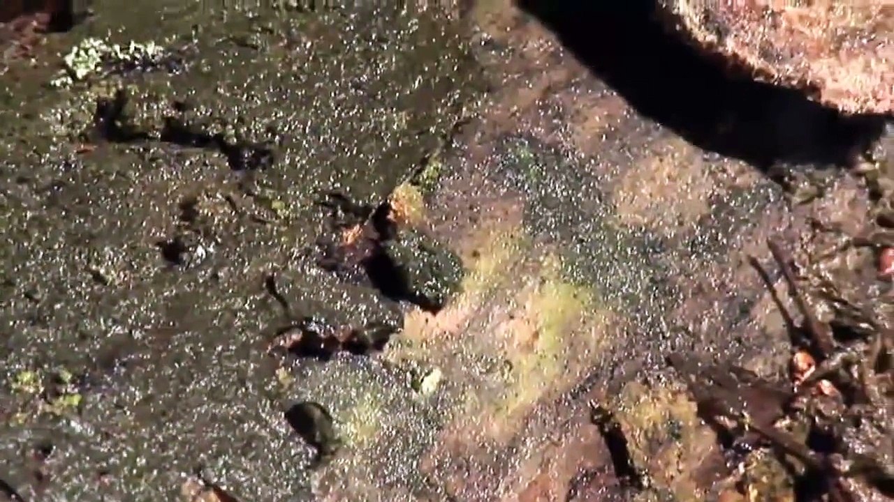 London Box Sash Windows - Accoya® Wood Windows And Doors