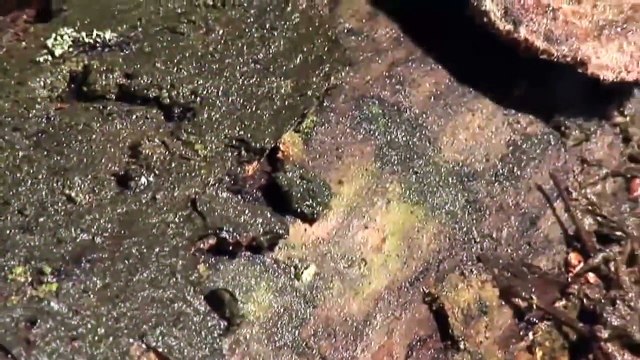 London Box Sash Windows - Accoya® Wood Windows And Doors