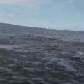 Huge Humpback Whale Breaches Just Inches Away From Boat Off New Jersey
