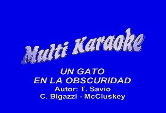 Roberto Carlos - Un gato en la oscuridad (Karaoke)