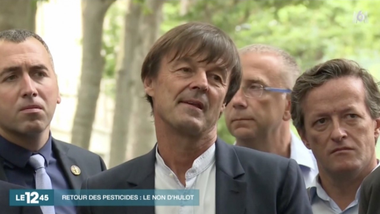 [Zap Actu] Pesticides 'tueurs d'abeilles' : Hulot remporte son duel avec Travert (27/06/17)