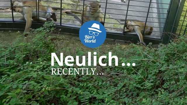 Birrs World - Neulich Im Zoo Berlin - Self Service II