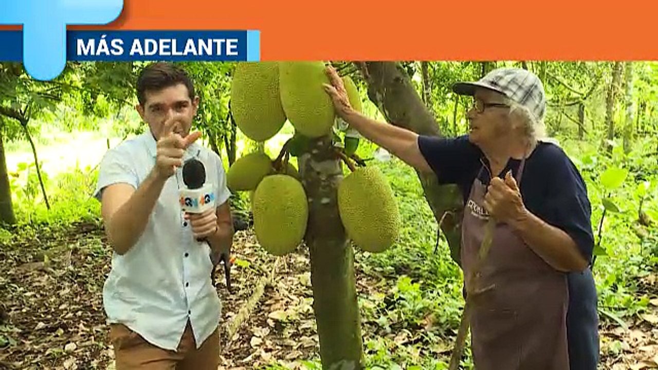 +QN 26 Junio 2017