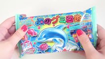Kracie Popin Cookin Oekaki Gumi Land Candy Making Kit! DIY Gummy Candy Set
