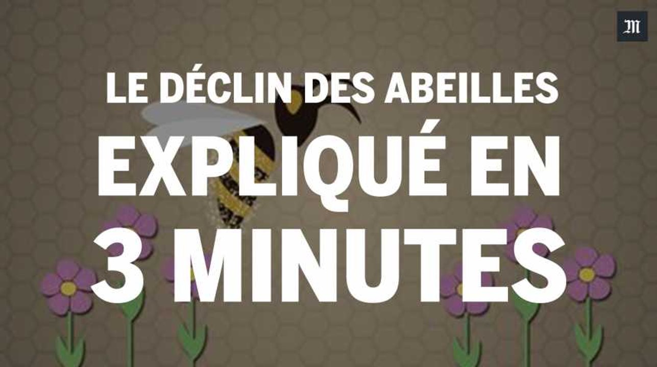 Le déclin des abeilles expliqué en 3 minutes