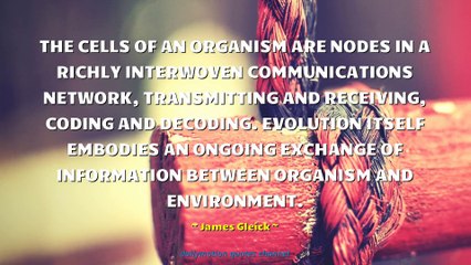 James Gleick Quotes #4