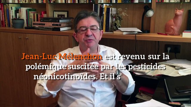 Pesticides tueurs d’abeilles: Mélenchon raille la «bêtise» de Stéphane Travert