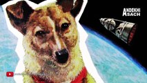 आखिर वो कहाँ गायब हो गई ? The mystery of Laika revealed The Space Dog What Happened To Her