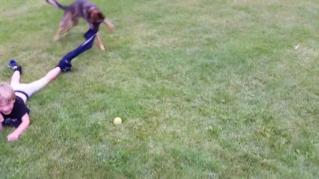Chiens VS Gamins au parc! Compilation adorable