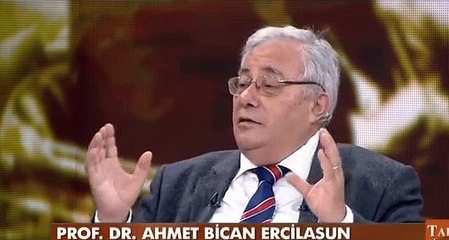 Ali Emiri Efendi'nin Divan ı Lügati't Türk Kitabını Bulması
