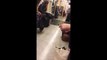 Un écureuil égaré crée la pagaille dans le métro de Londres !