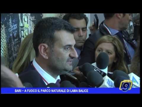 Bari | A fuoco il parco di Lama Balice