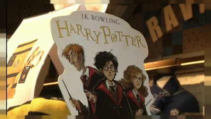Harry Potter, vingt ans de succès