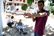 Antalya'da İbretlik Görüntüler! Bonzai İçen Genç, Yerde Kıvrandı