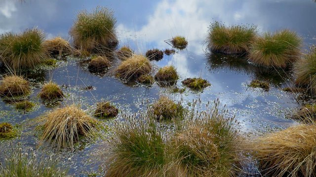 Etape 3 : Le Parc des Hautes Fagnes avec Denis Gargaud (médaillé d'or en canoë aux JO de Rio)