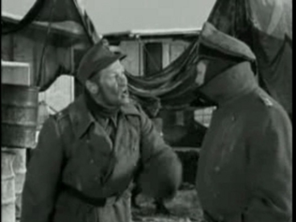 Hunde wollt ihr ewig Leben