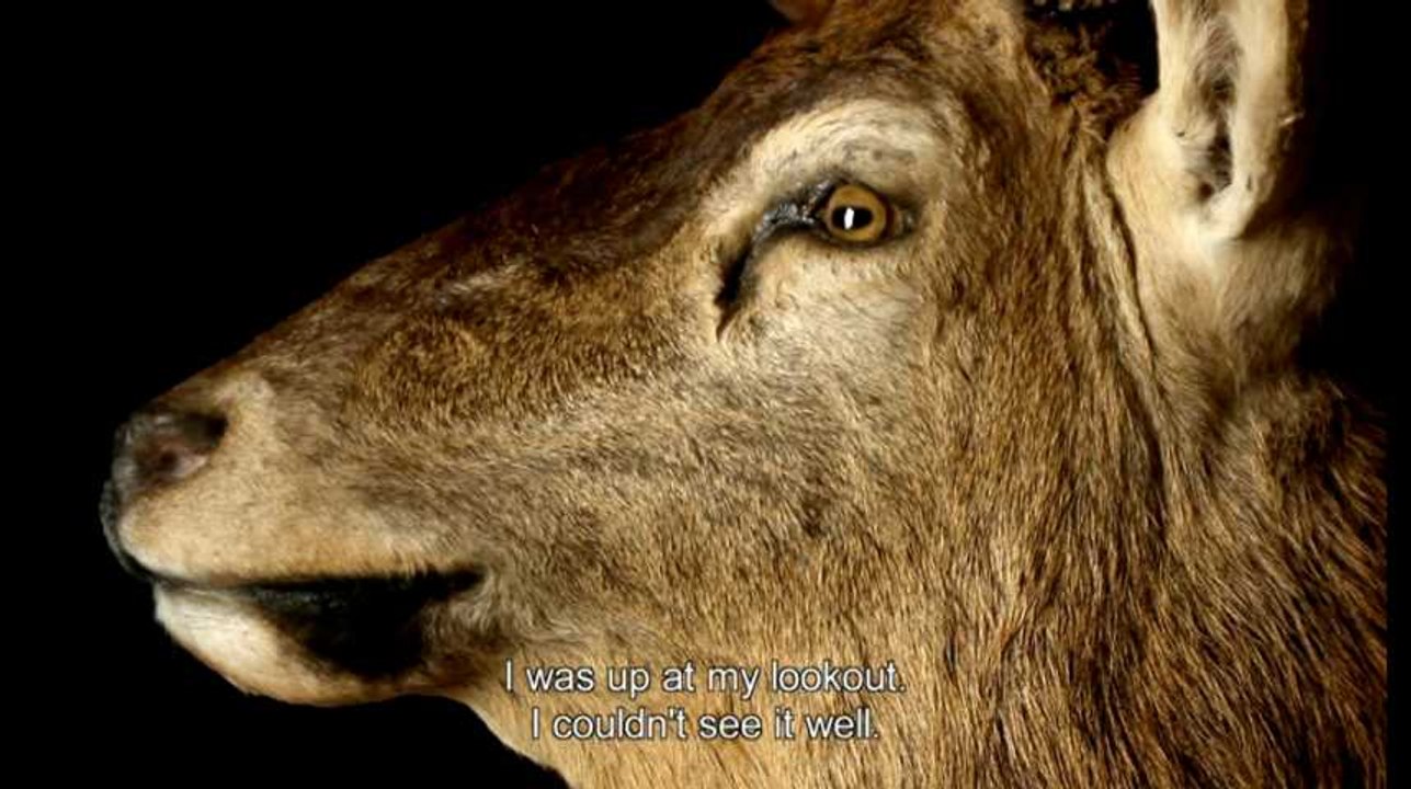 Le Taxidermiste