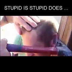 Stupid Is Stupid Dose