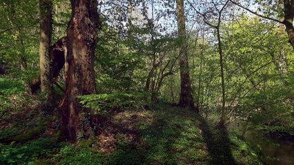 La vallée de Néander (Tour de France de la biodiversité 2/21)