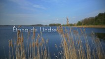 Etang de Lindre, le Parc naturel régional de Lorraine (Tour de France de la biodiversité 4/21)