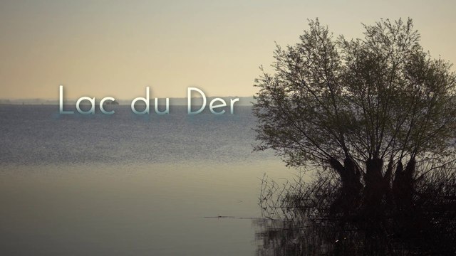 Le Lac du Der (Tour de France de la biodiversité 6/21)