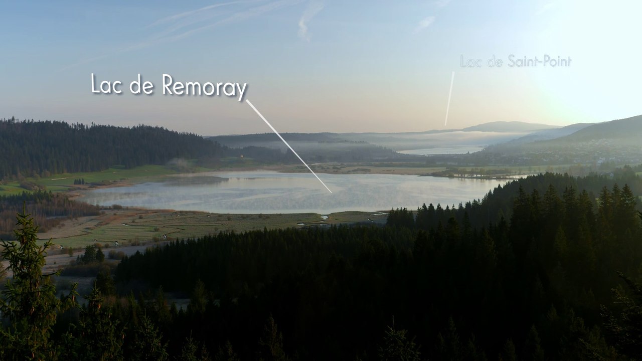 La Réserve naturelle du Lac de Remoray (Tour de France de la biodiversité 8/21)