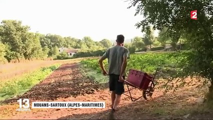 Alimentation : une commune des Alpes-Maritimes passe au vert