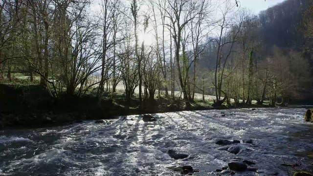 Le Parc naturel régional des Pyrénées Ariégeoise (Tour de France de la biodiversité 13/21)