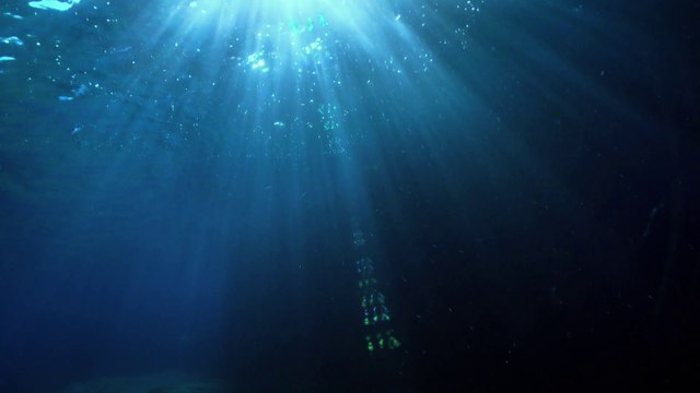 Le Parc national des Calanques (Tour de France de la biodiversité 20/21)