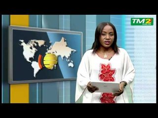 JT TM2 du 1er Janvier 2016